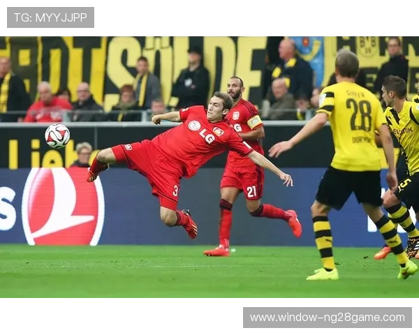 德甲赛季走势分析与投注技巧指南助您精准预测比赛结果